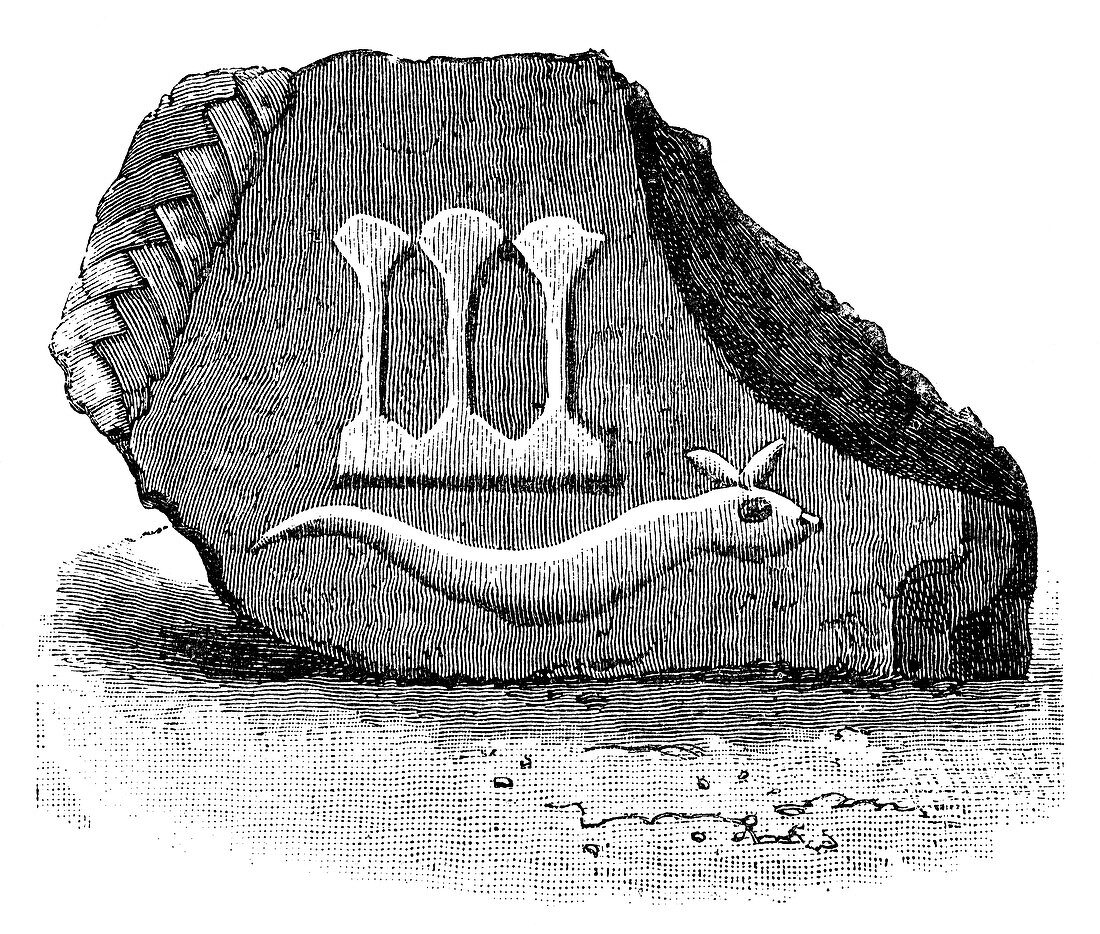 Ancient Egyptian artefact,19th century
