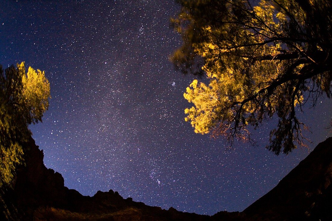 Milky Way over trees,Armenia