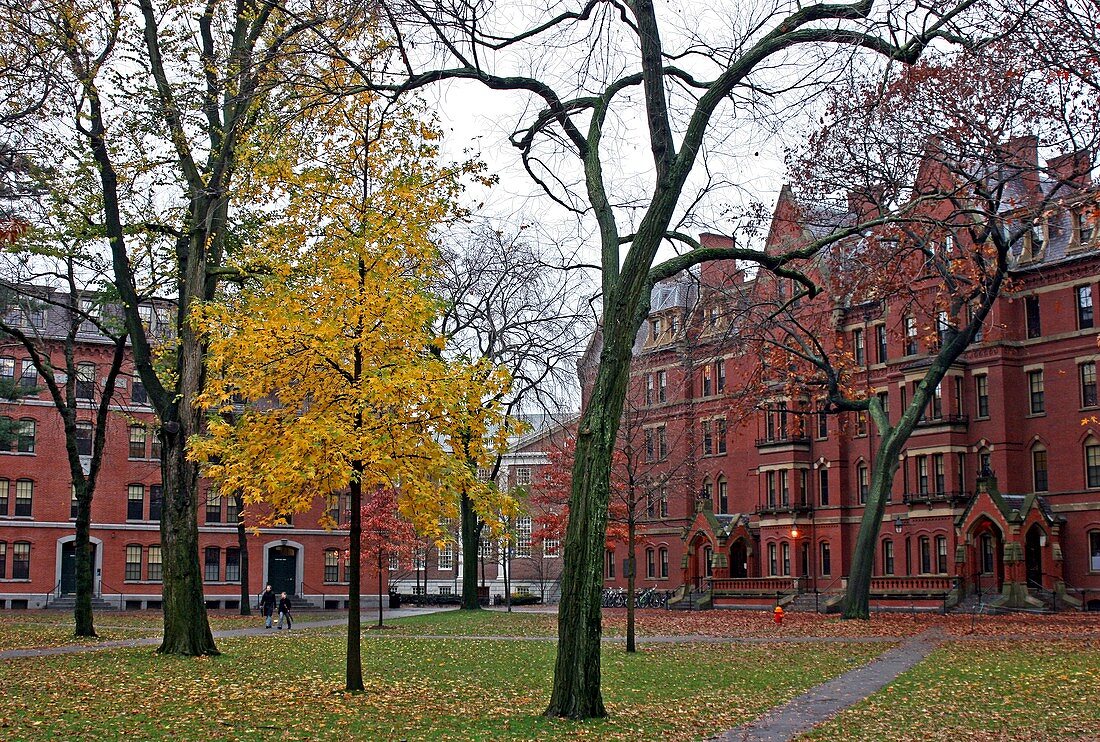 Harvard Yard,Harvard University