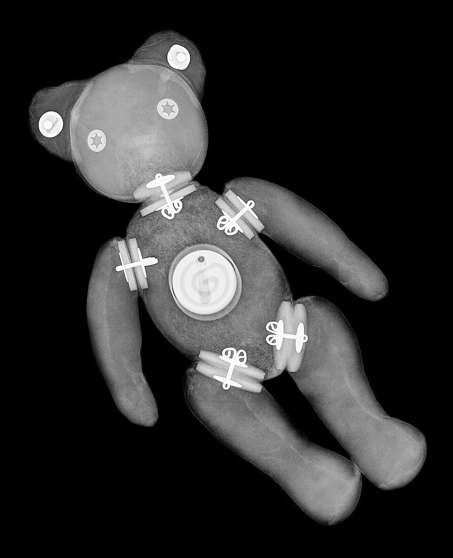 Teddy bear,X-ray
