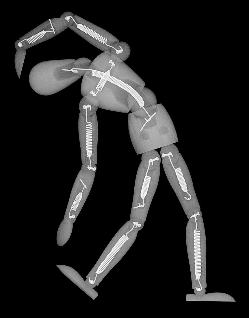 Mannequin toy,X-ray