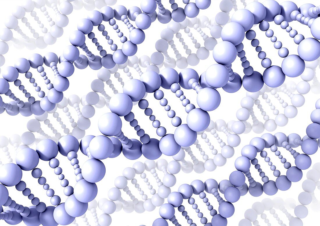 DNA molecules,artwork