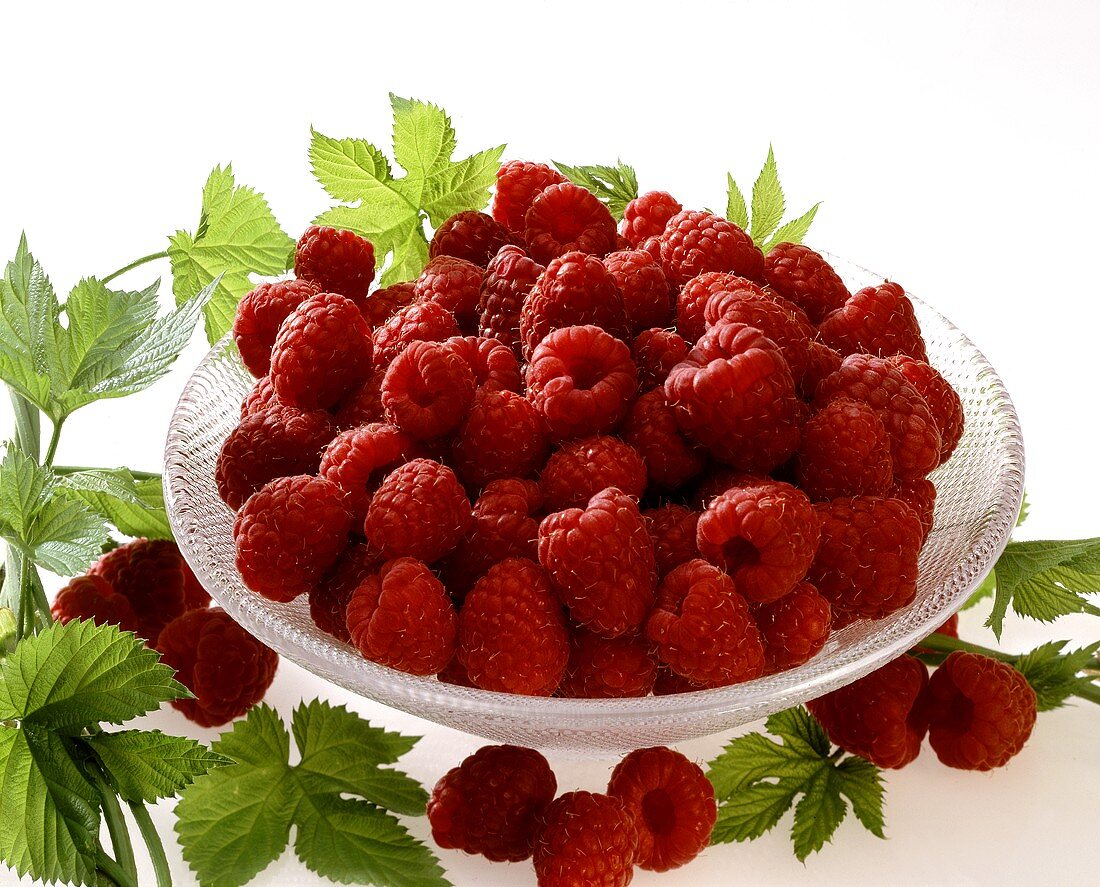 Many Fresh Raspberries in a Bowl