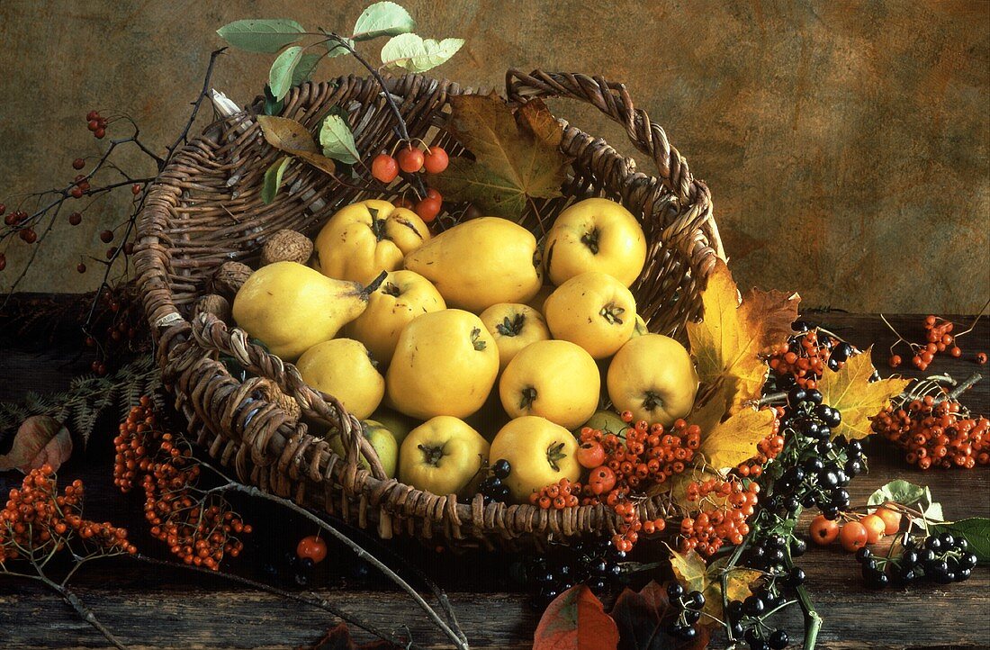 A Basket Full of Quince; Berries