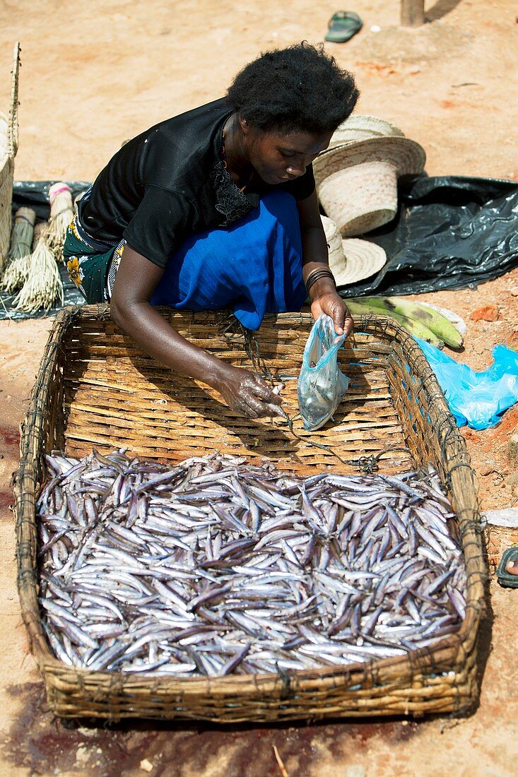 Fish seller,Malawi