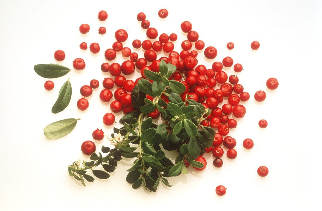 Cranberries with Leaves