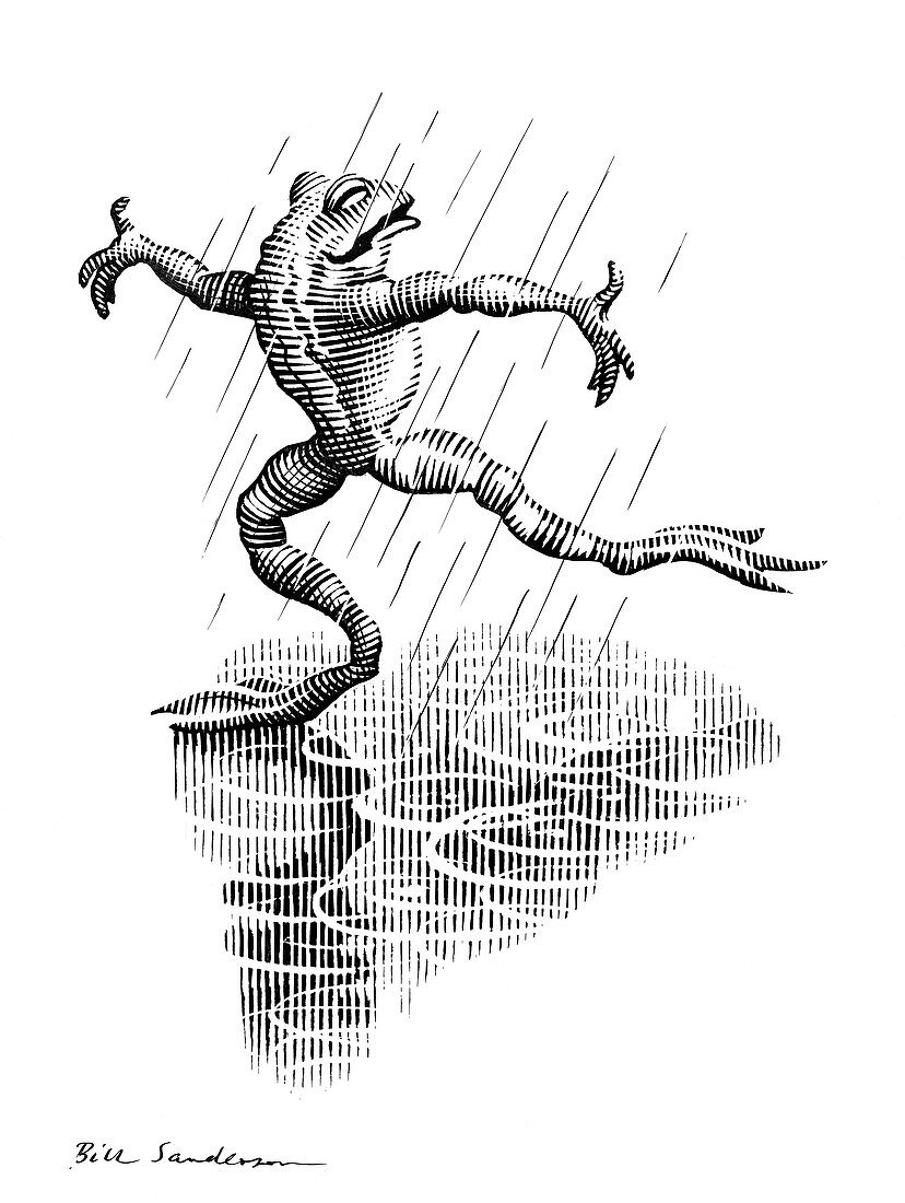 Dancing in the rain,conceptual artwork