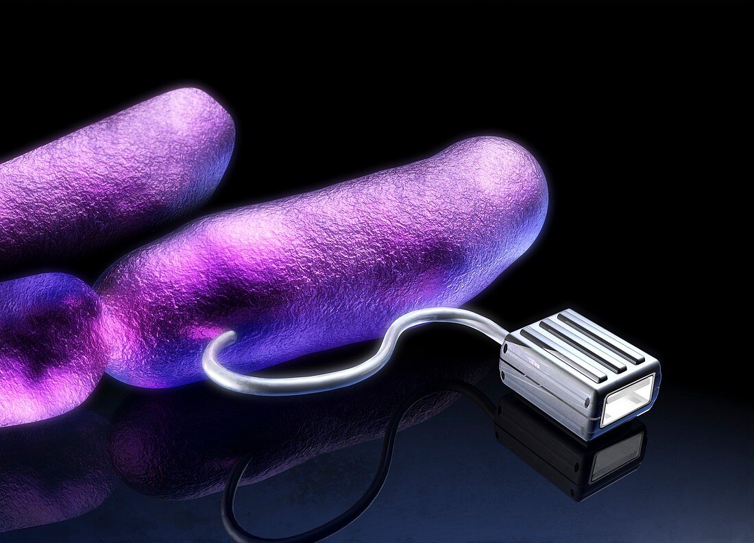 Bacterial computing,conceptual artwork