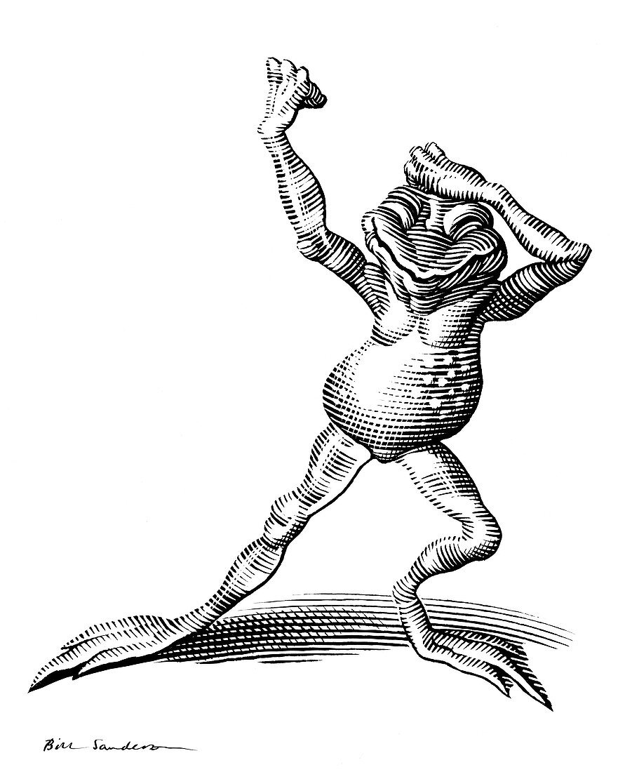 Dancing frog,conceptual artwork