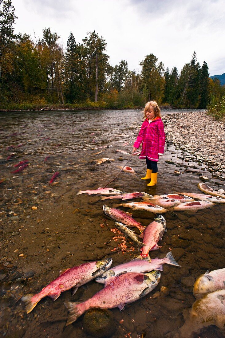 Girl watching salmon spawn