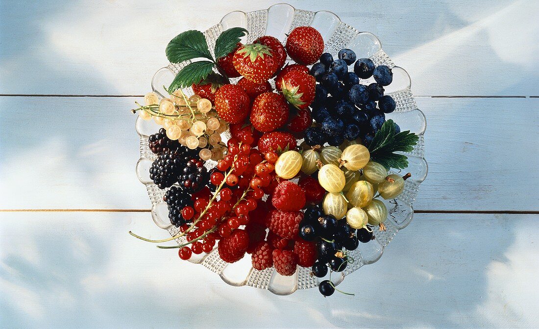 Several Assorted Berries on a Plate