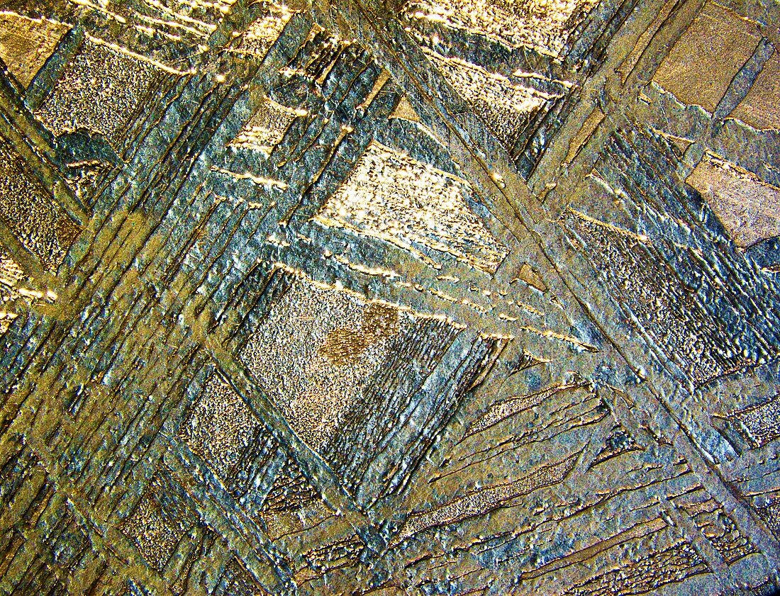 Muonionalusta meteorite,macrophotograph