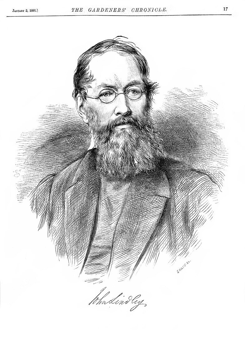 John Lindley,British botanist