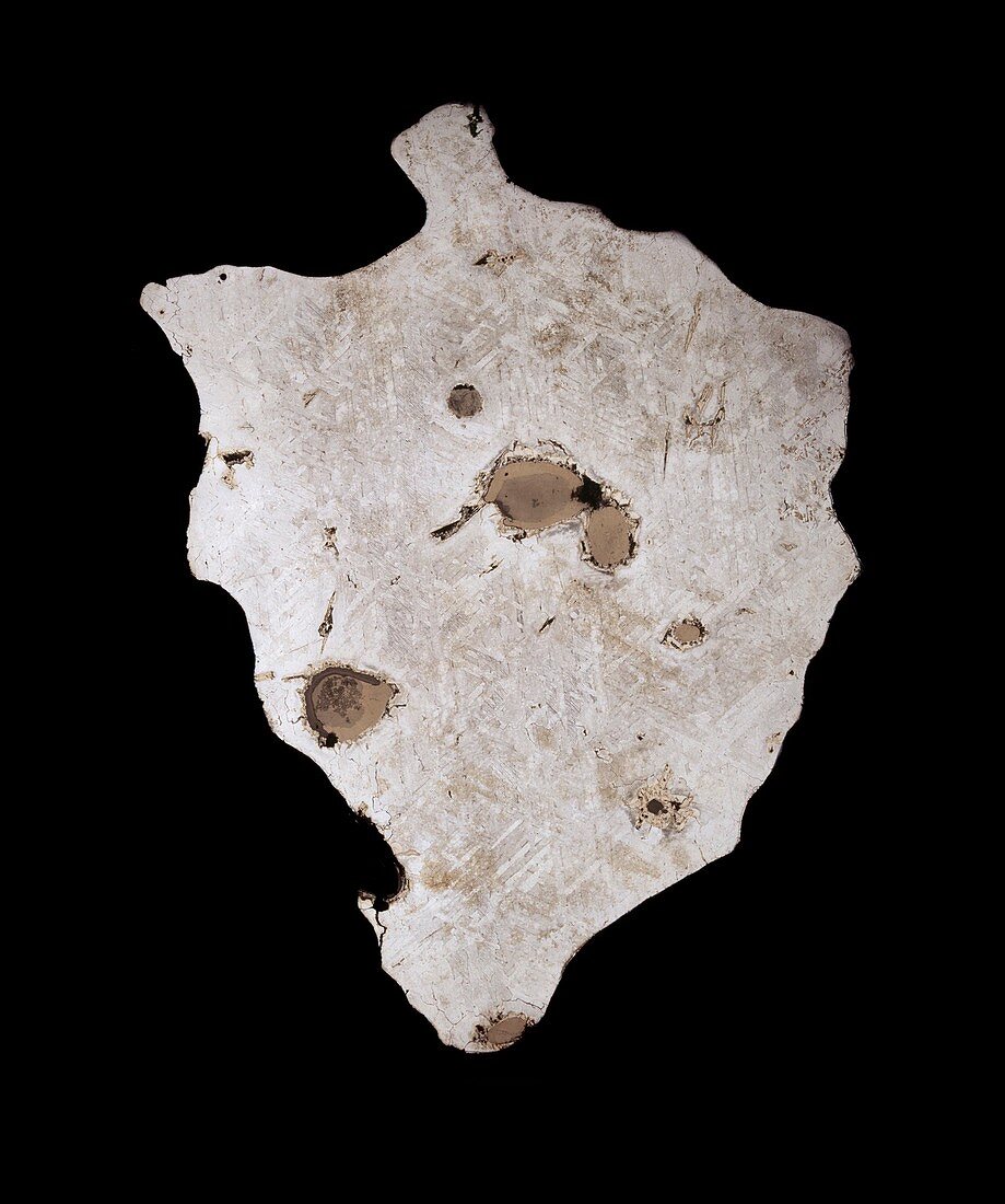 Canyon Diablo meteorite specimen