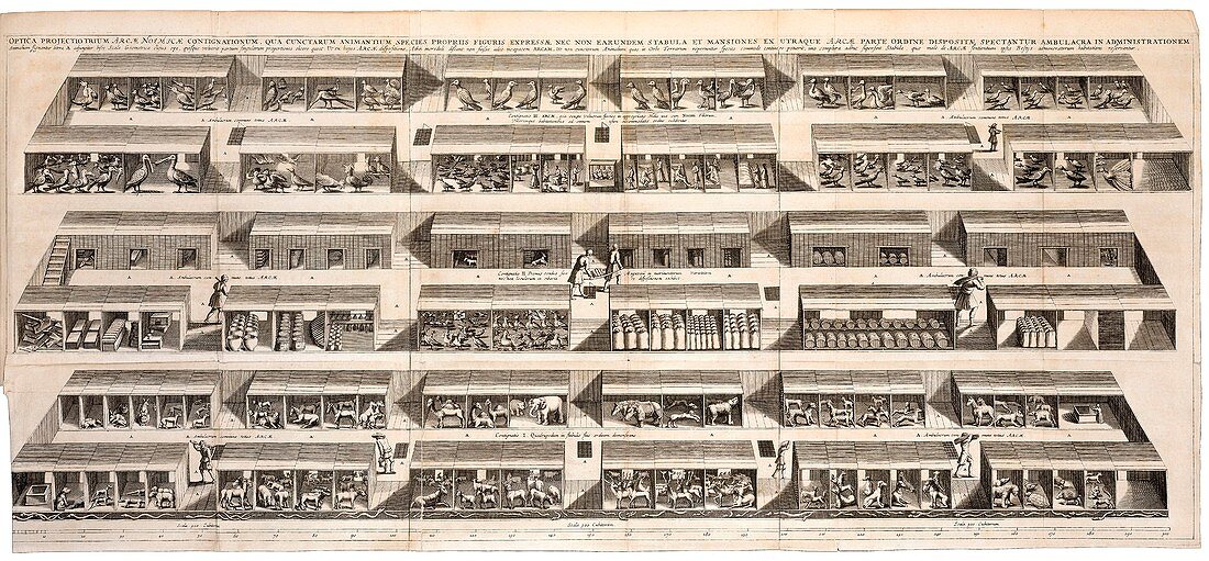 Noah's Ark,17th-century artwork