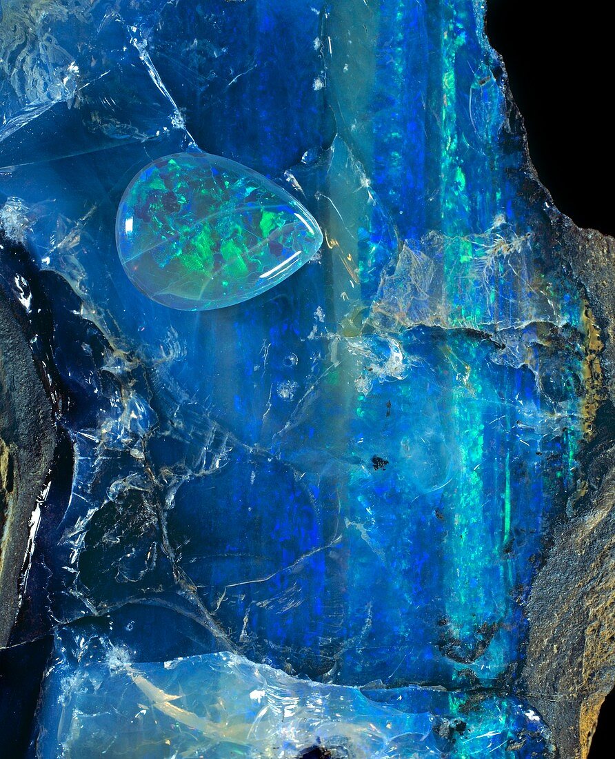 Opal specimen and cut stone