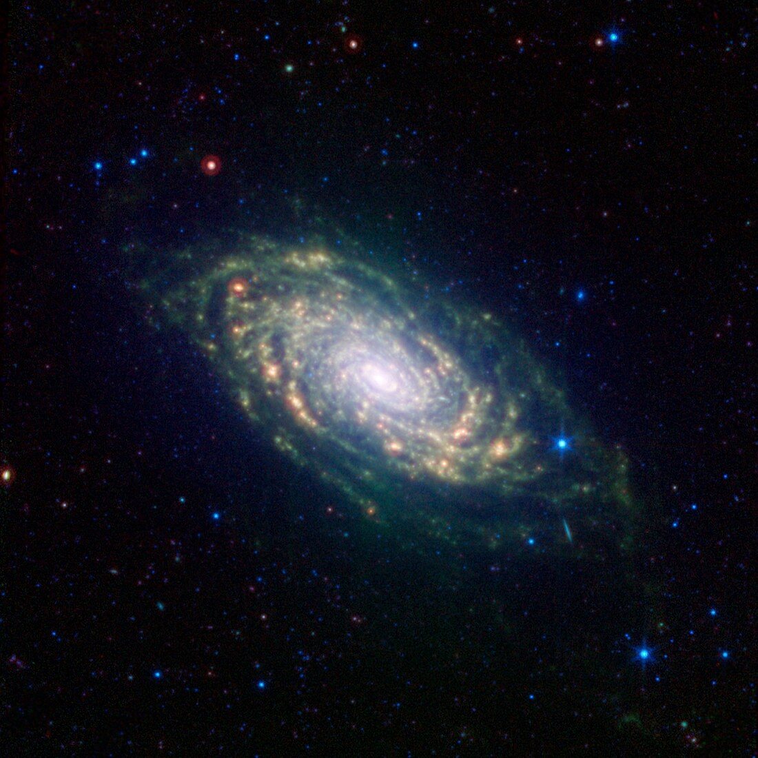 Sunflower Galaxy,infrared image