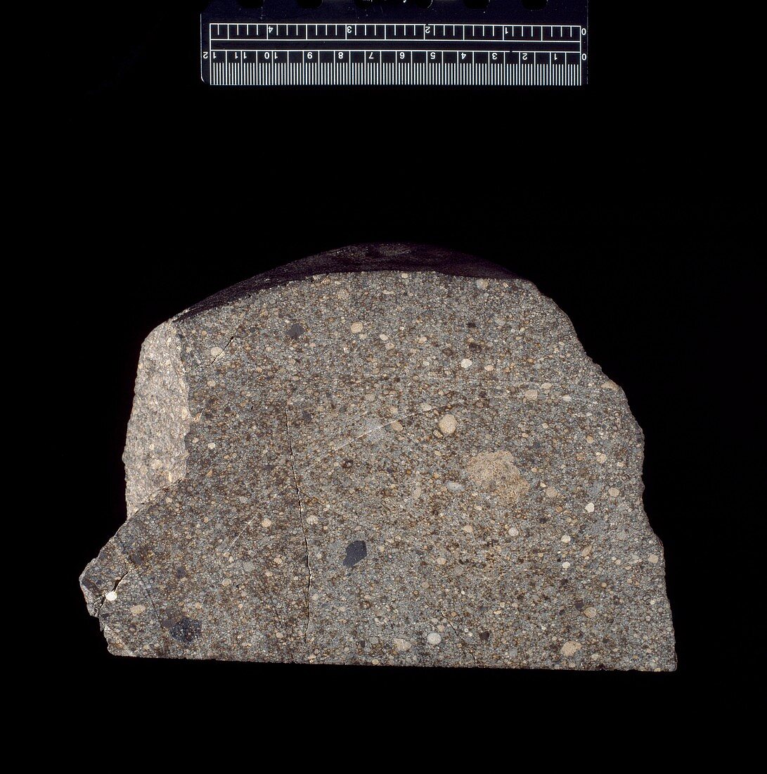 Chondrite meteorite fragment