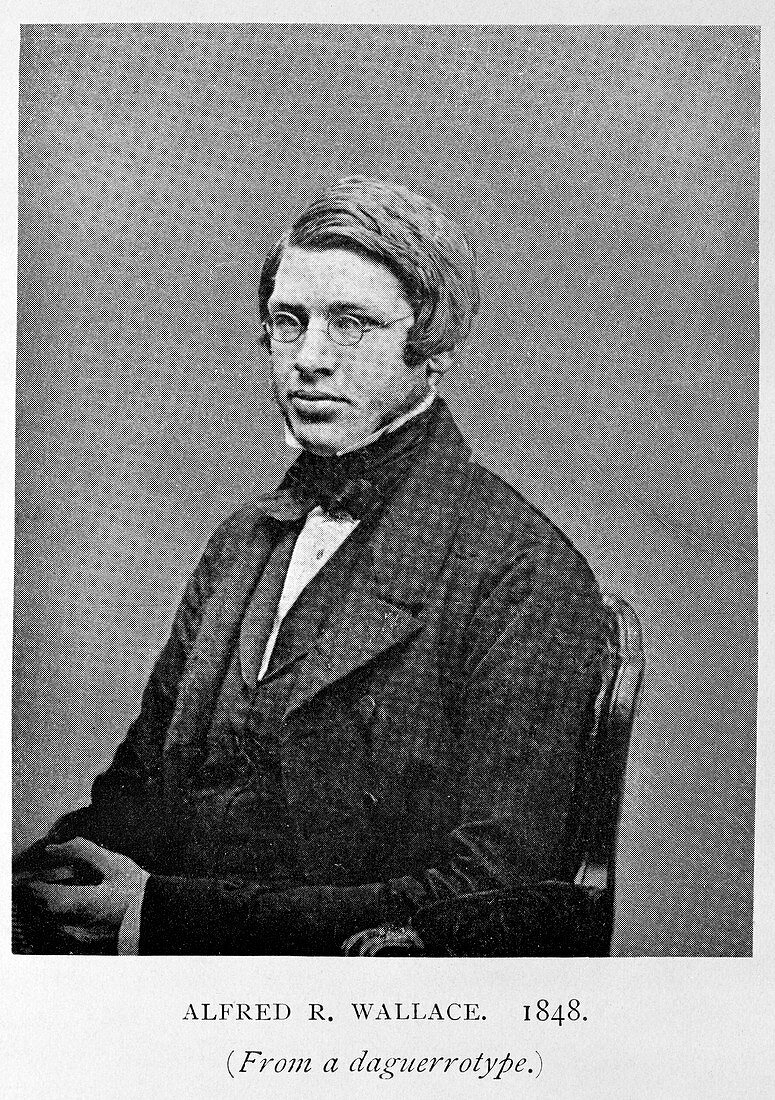 Alfred Russel Wallace,British naturalist