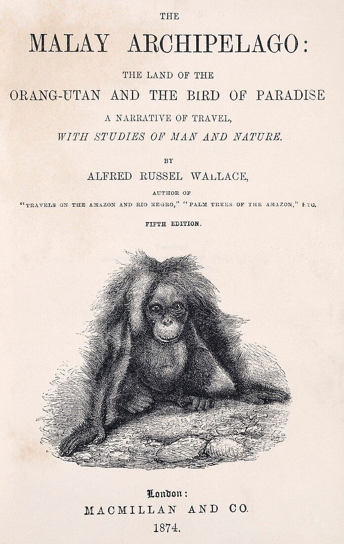 Title page of 'The Malay Archipelago'