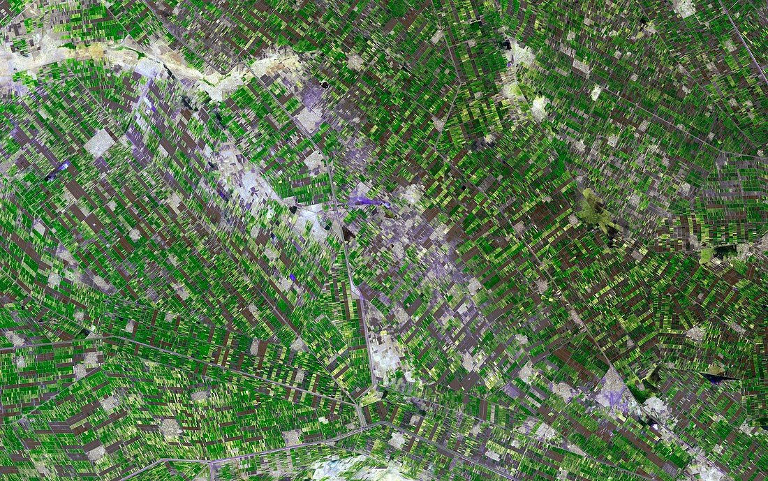 Gezira irrigation scheme,satellite image