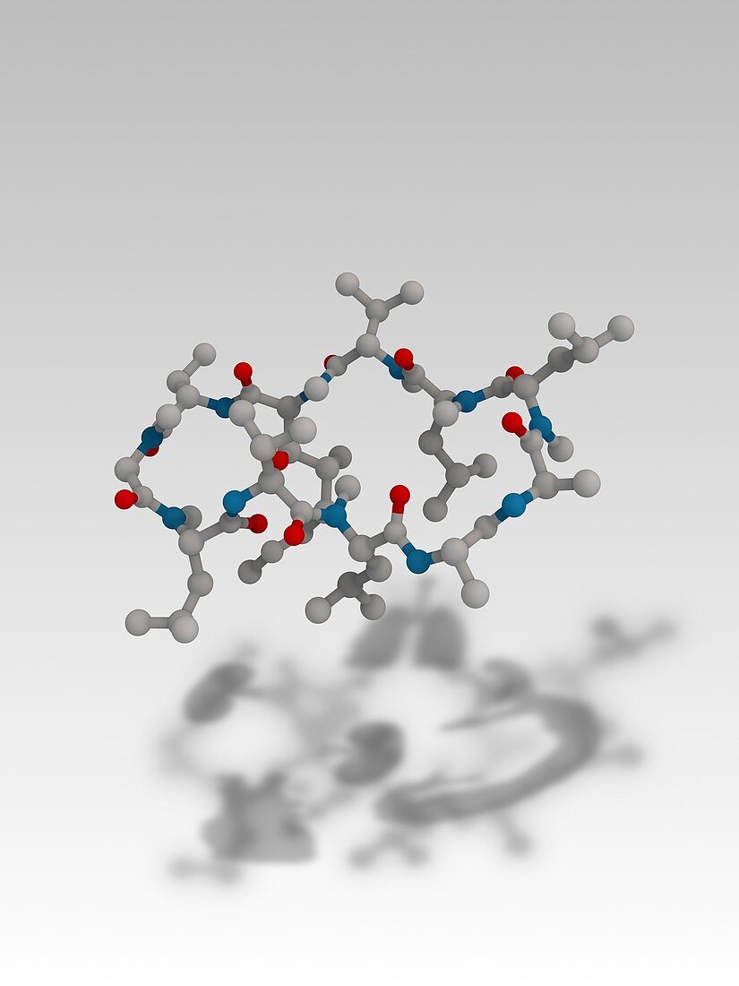 Cyclosporin drug molecule