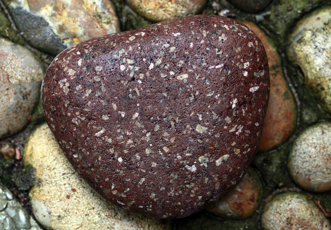 Porphyritic texture in an igneous rock