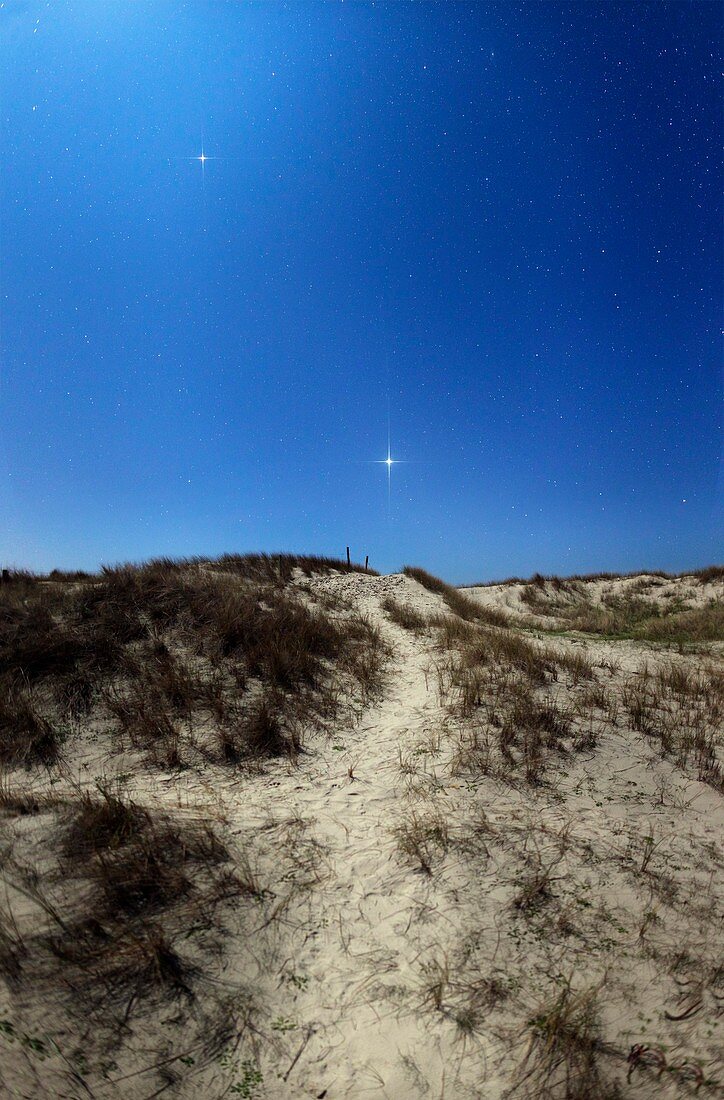 Moonlit coastal landscape