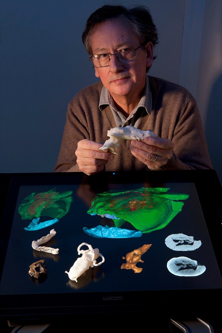 Prehistoric fish brain,fossil research