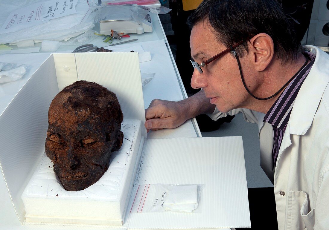 Museum curator and mummified head