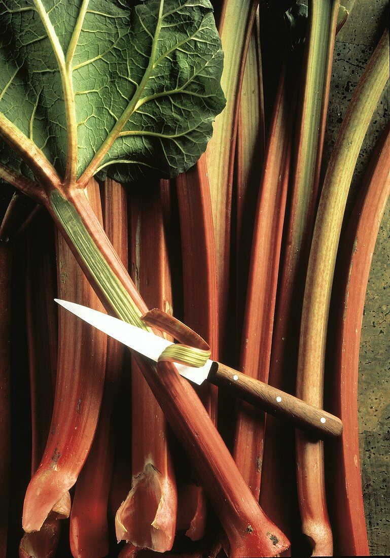Rhubarb Stalks with a Knife For Peeling