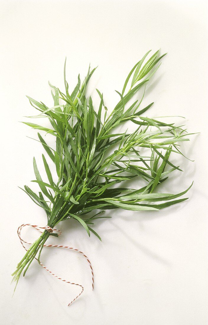 A Bunch of Tarragon Tied with String