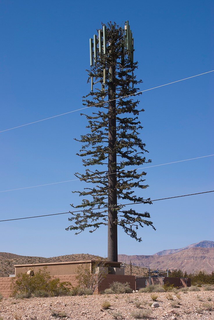 Cellphone mast disguised as tree