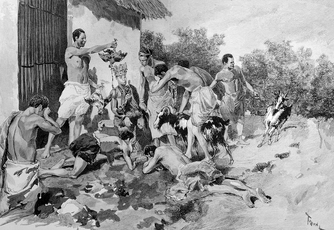 Animal sacrifices,Benin,19th century
