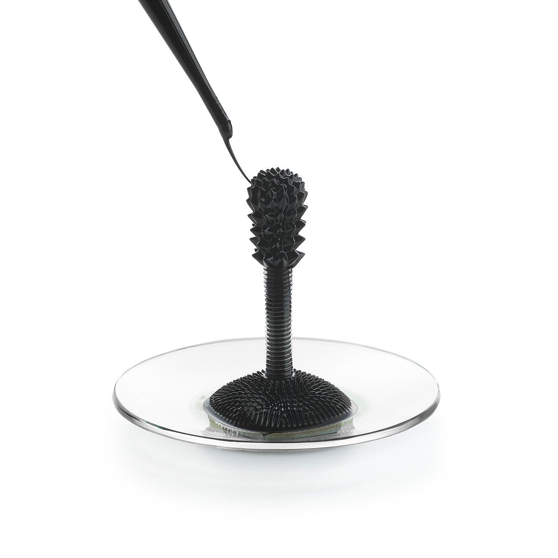 Ferrofluid and bolt in a magnetic field
