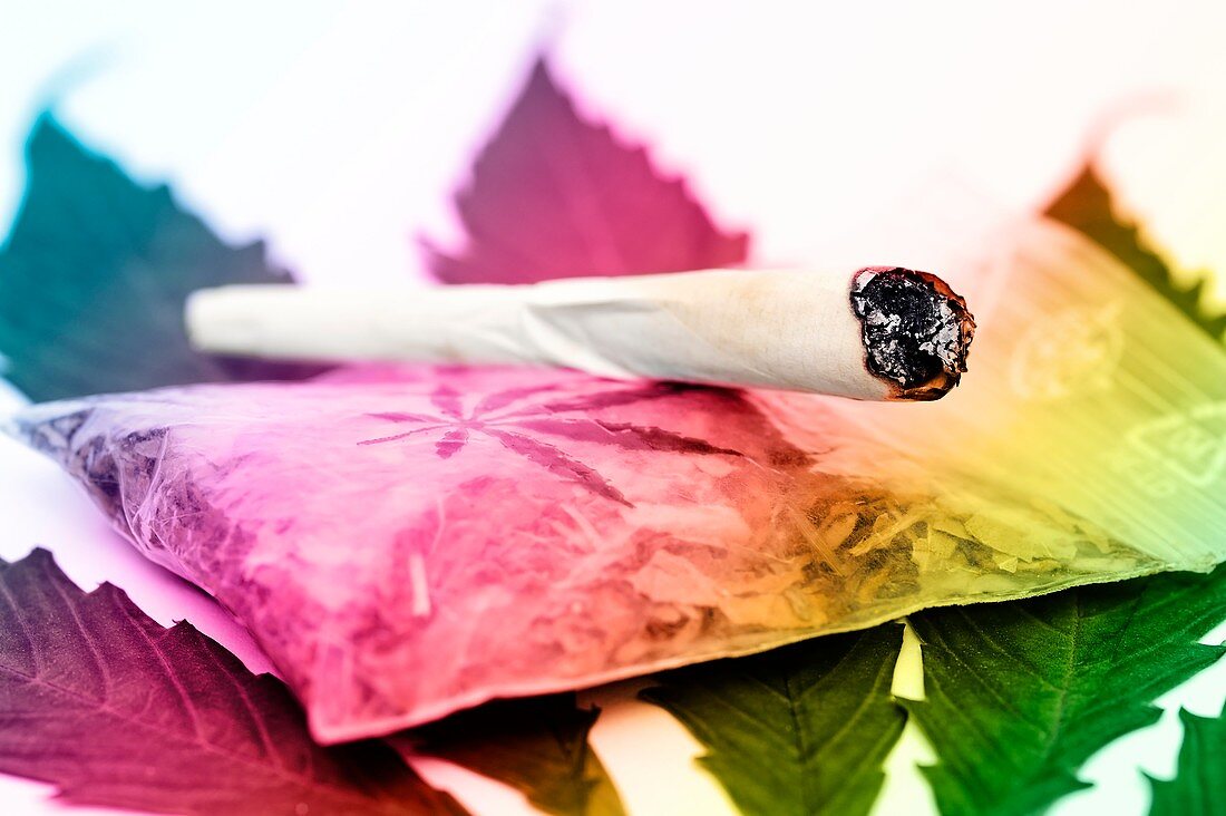 Smoking cannabis,conceptual image