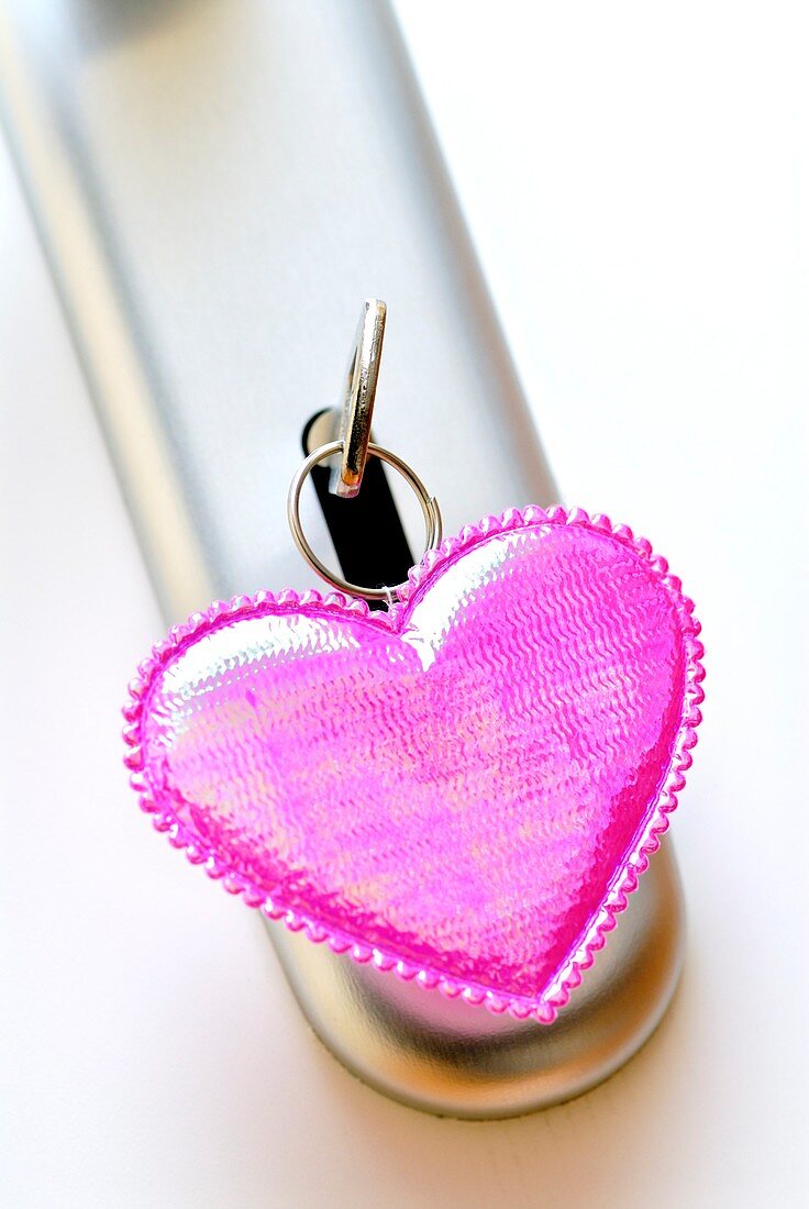 Heart-shaped keyring