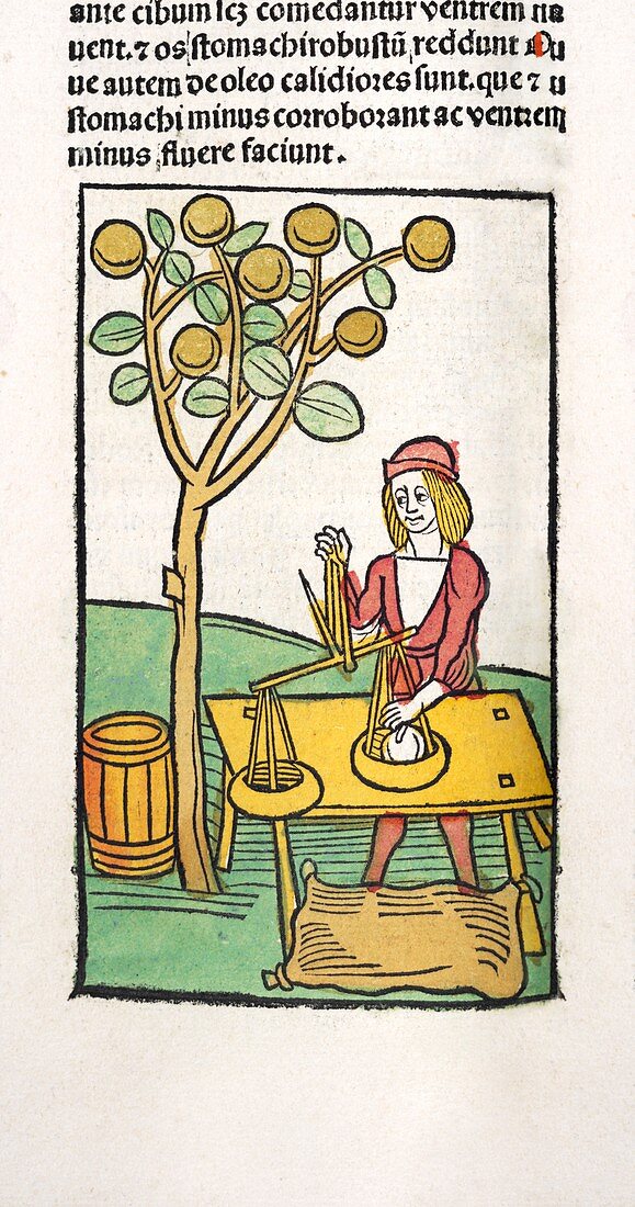 Weighing olives,15th century
