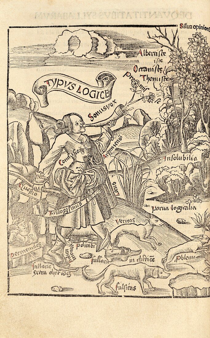 Allegory of logic,16th century