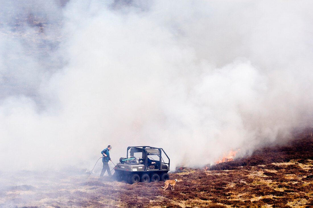 Controlled heather burning,Cairngorms