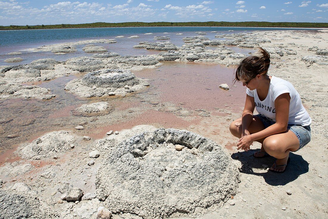 Stromatolites,Australia