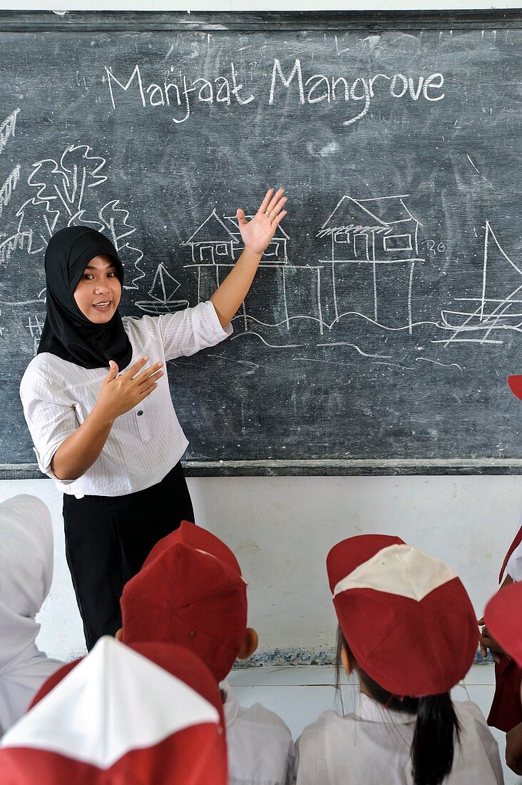 Environmental education,Indonesia