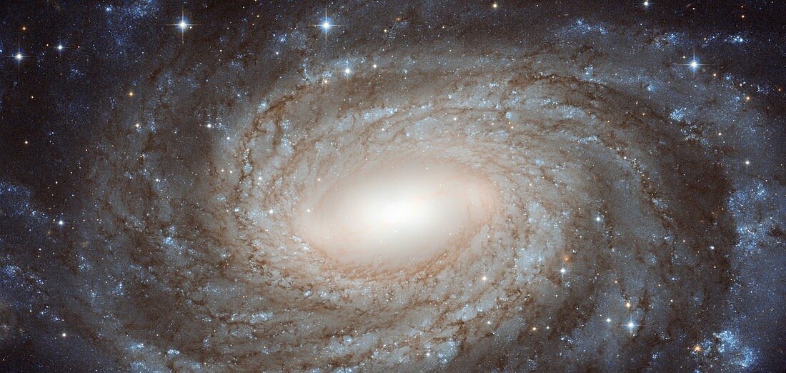 Spiral galaxy,HST image