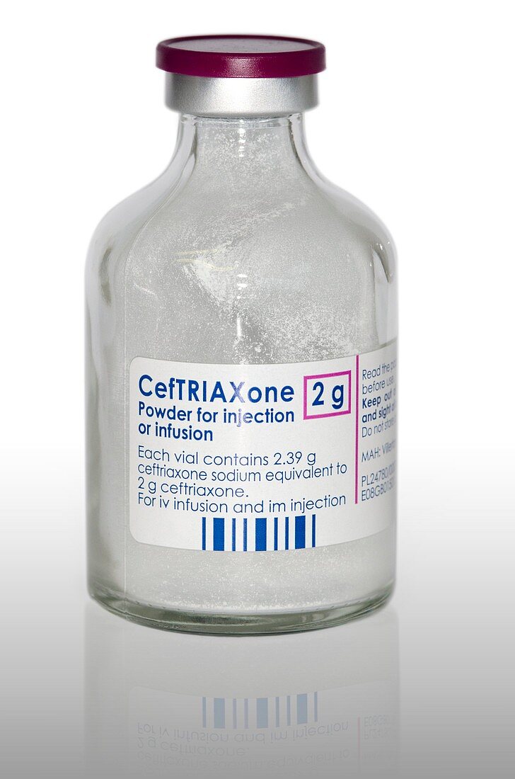 Ceftriaxone antibiotic drug