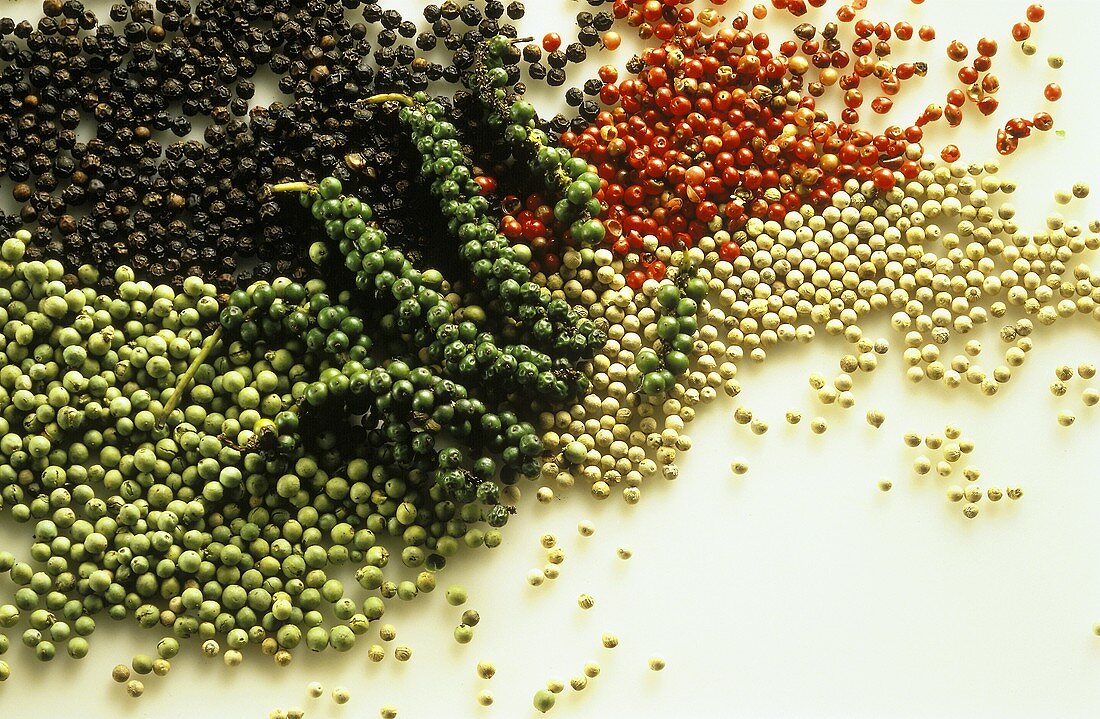 Verschiedene Pfeffersorten, rot, weiß, schwarz, grün