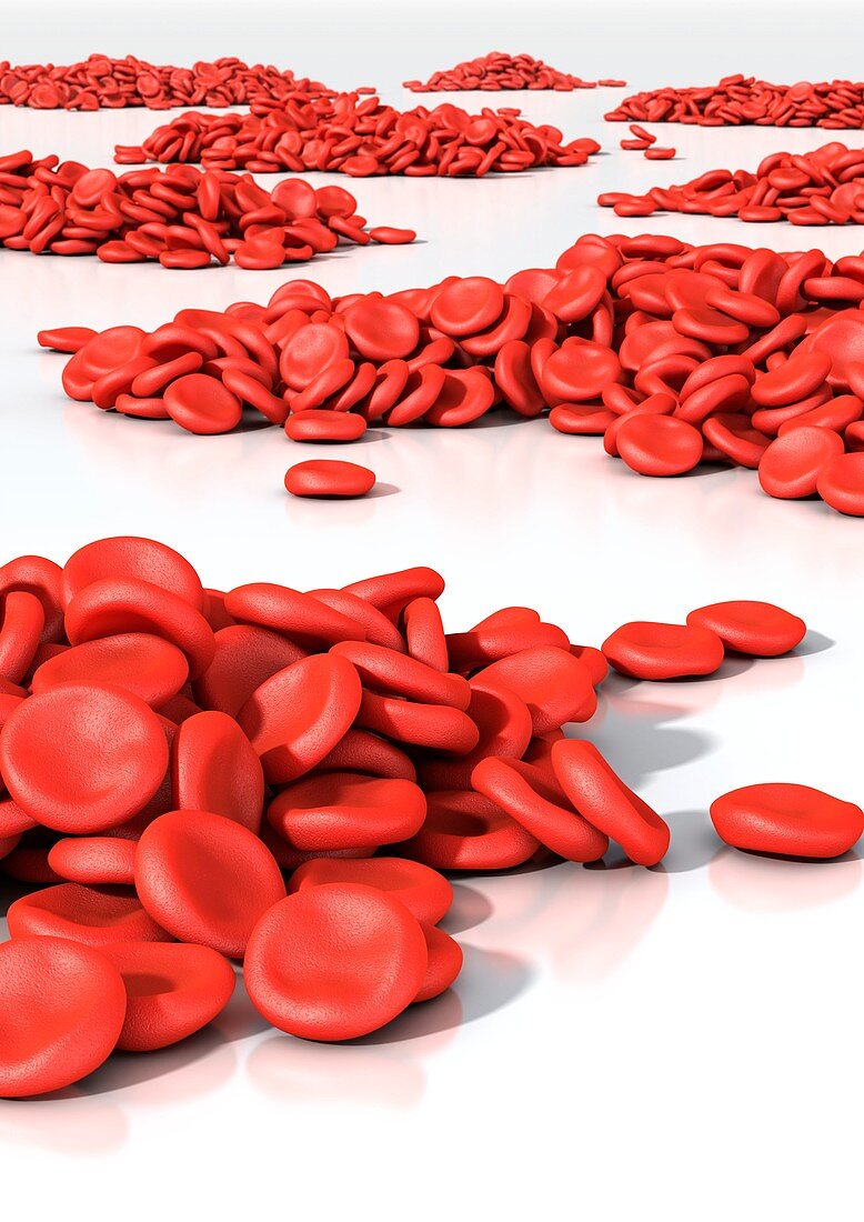 Red blood cells,artwork