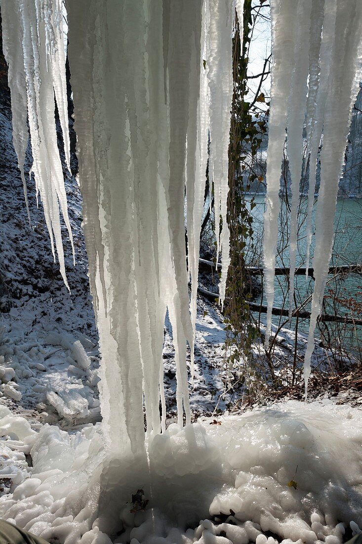 Icicles near a river