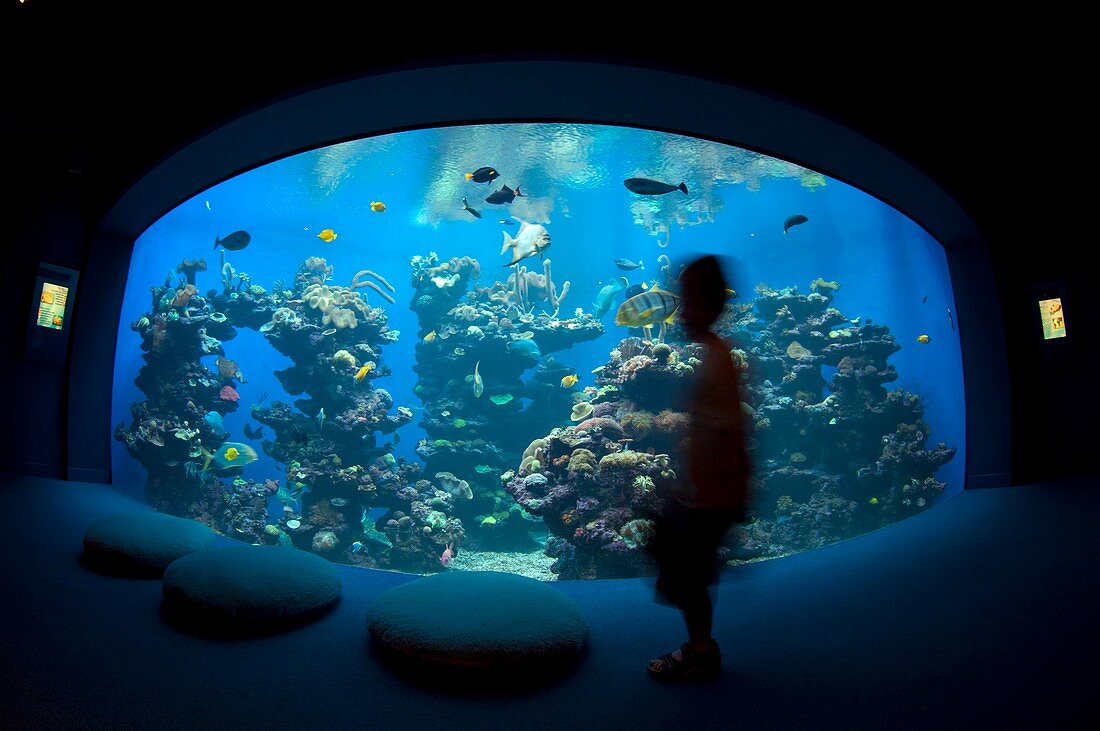 Aquarium,Mallorca