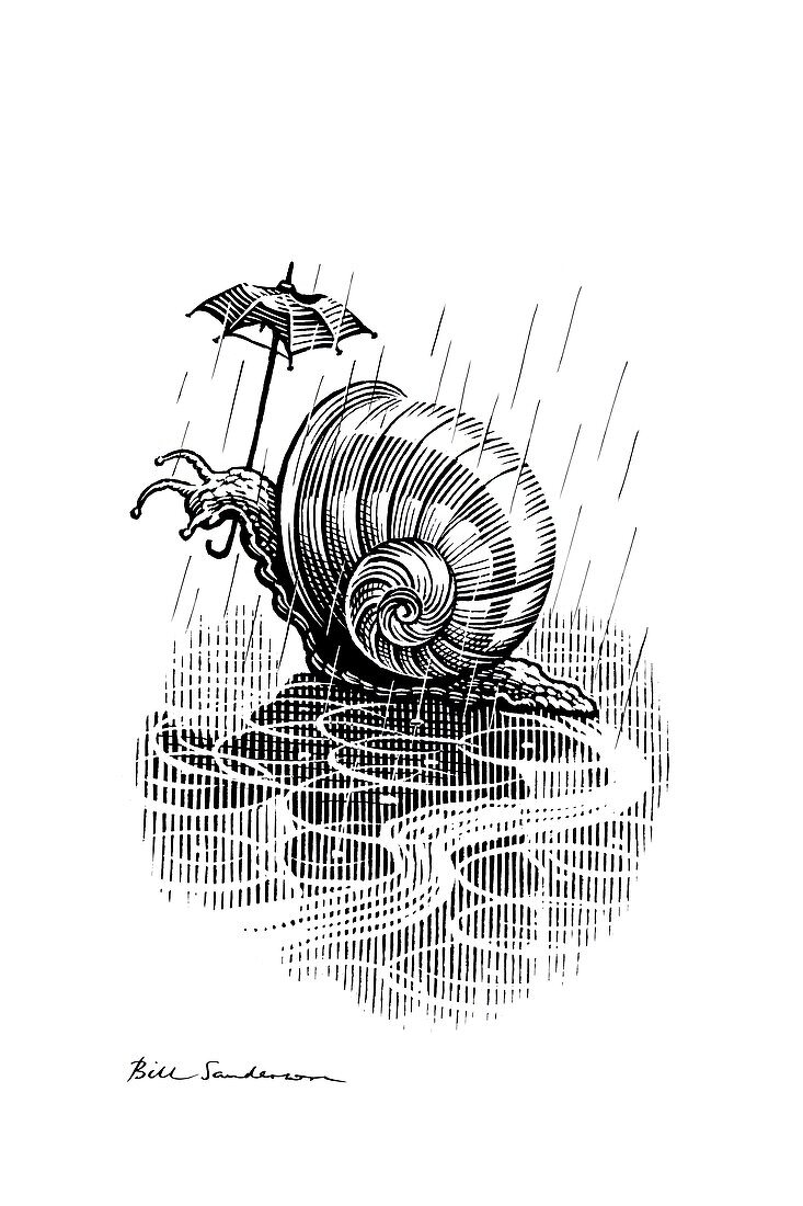 Snail with umbrella,satirical artwork