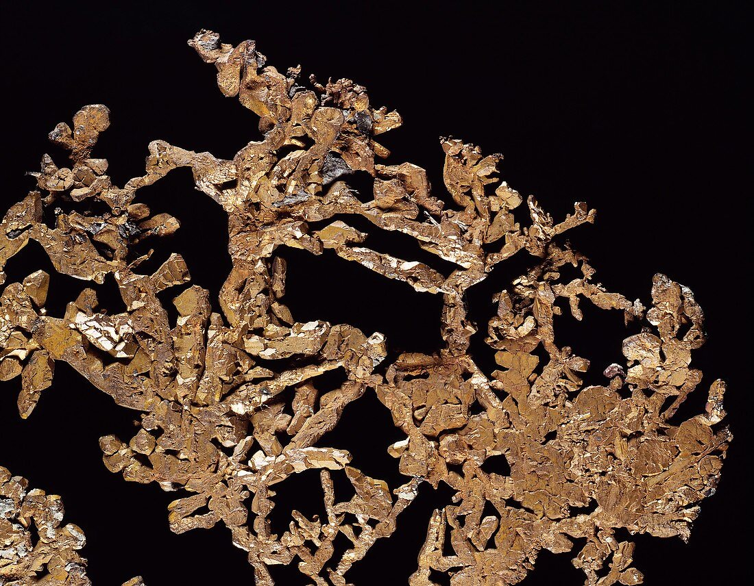 Dendritic copper specimen
